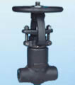 Gate Valve products, series number CA-G001