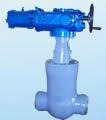 Gate Valve products, series number CA-G002