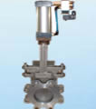 Gate Valve products, series number CA-G003