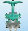 Gate Valve products, series number CA-G004