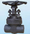 Gate Valve products, series number CA-G008