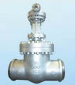 Gate Valve products, series number CA-G009