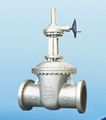 Gate Valve products, series number CA-G010