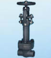 Gate Valve products, series number CA-G011