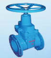 Gate Valve products, series number CA-G012